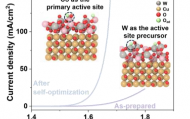 Angew：CoW氧化物自优化促进碱性OER