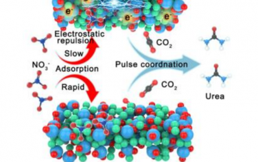 王定胜Angew：脉冲电催化合成尿素