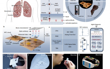 Nat Commun：用于呼吸道病原体监测和严重程度评估的无线、无电池、多功能集成生物电子学