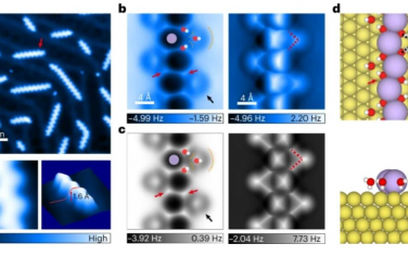 Nature Nanotechnology：水介导引力驱动界面碱离子的纳米一维紧密堆积