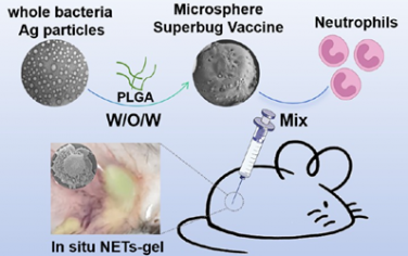 ACS Nano：免疫功能低下个体特异性疫苗用于对抗超级细菌