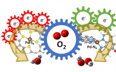 JACS：用于可持续电化学生产过氧化氢的杂原子配位钯分子催化剂