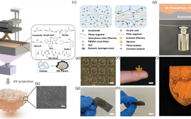 AFM：具有可调黏附力和可拉伸性的3D打印丝素基水凝胶用于可穿戴传感