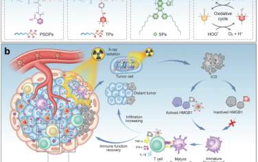 Adv. Mater：半导体电荷逆转纳米抗氧化剂的免疫调节工程用于改善癌症放射免疫诊疗