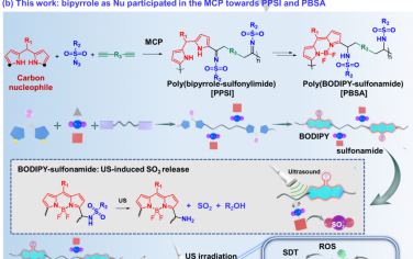 Angew：多组分聚合构建作为SO2生成器的聚（BODIPY-磺胺）以实现声动力-气体联合治疗