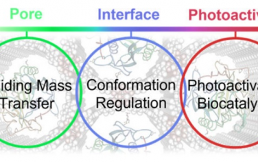 中山大学&广州医科大学Angew综述：多孔框架材料封装酶构筑协同催化体系