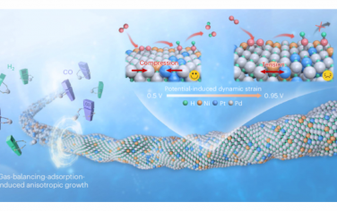 Nature Catalysis：贵金属基纳米线电催化剂的气体平衡吸附策略