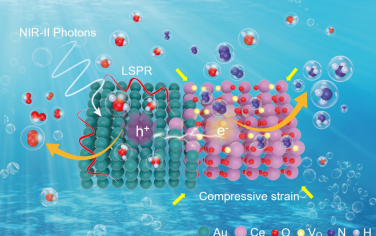 侯仰龙等Angew：CeO2/Au界面缺陷和应力协同高效率光催化固氮