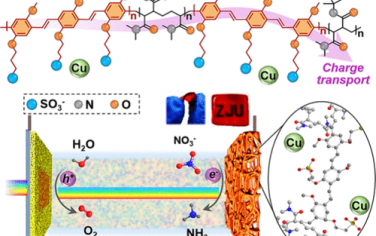 浙江大学JACS：调节超分子导电网络增强硝酸盐还原氨和产氧