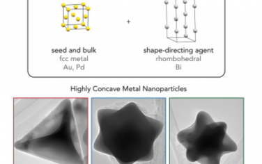 Chem：利用铋的不混溶性制造高度凹陷的贵金属纳米颗粒