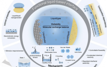 厦门大学Angew综述：功能性液体界面