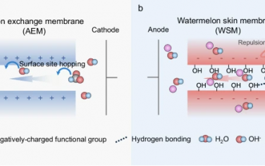 孙立成院士Nature Commun：发现西瓜皮溶剂化膜可能应用于电催化CO2还原