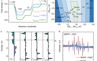 Nature Commun：氯离子动态吸附改善Ir单原子电解海水性能