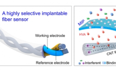 ACS Nano：一种用于实时监测血液高香草酸的高选择性植入式电化学纤维传感器
