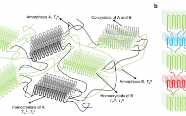 Nat Commun：催化剂切换策略使单一聚合物具有五种不同的结晶相