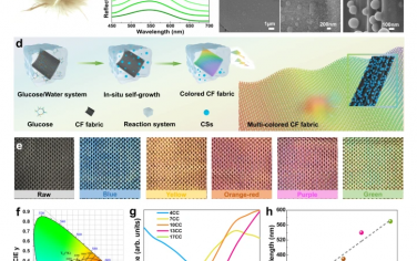 Nature Communications：利用葡萄糖构建多色碳纤维的彩色结构