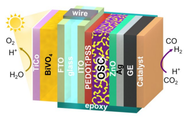 Adv Mater：有机半导体-BiVO4光催化转化H2O和CO2