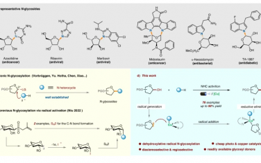 Nature Commun：光催化脱羟基N-糖基化