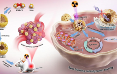 Biomaterials：仿特洛伊木马的纳米平台可通过放射动力学治疗实现X射线触发的放射抵抗性癌症治疗