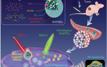Adv. Mater：NIR-II光声成像指导的氧气递送和控制释放用于改善对肝细胞癌的光动力治疗