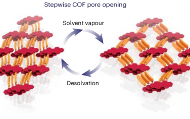 Nature Chem：动态响应二维COF