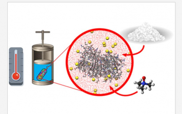 Chem. Rev.：极端环境条件下拥挤和共溶对生物分子功能的影响