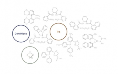 Chem. Soc. Rev.：钯催化的杂环不对称烯丙基烷基化