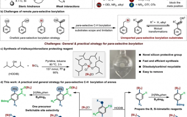 Nature Commun：三烷氧基硅烷导向芳烃对位C-H硼化