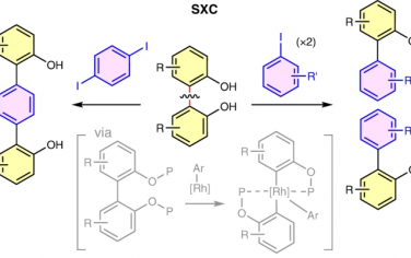 Nature Catal：Rh催化活化芳烃化学键进行裂分交叉偶联