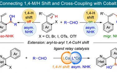 南京大学JACS：Co催化醛和卤化物1,4-NHK偶联