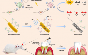 Biomaterials：含碲紫精锚定的四苯基卟啉可作为声敏剂以用于牙周炎声动力治疗