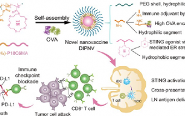 ACS Nano：基于可激活STING纳米载体的个性化纳米疫苗用于肿瘤免疫治疗