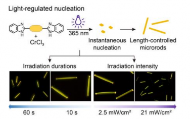 Angew：光调控荧光分子的成核与均匀生长