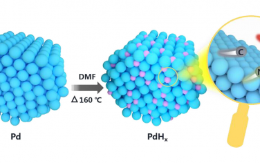 厦门大学JACS：碳氮掺杂的Pd电催化剂