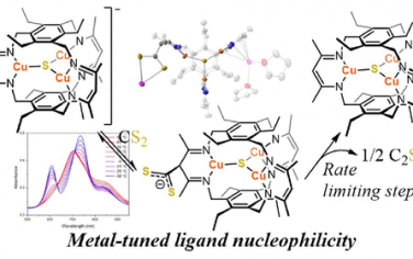 JACS：Cu构筑复合物的配体作为CO2和CS2的自偶联催化中心