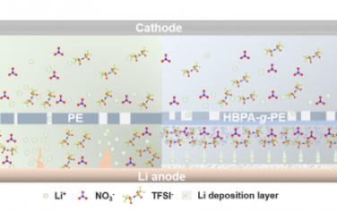 Nano Letters：两性聚合物隔膜分子级阴离子和Li+共调节高倍率稳定锂金属负极