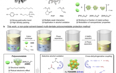 Nat. Commun.：使用多齿金属氧化物纳米簇保护的超稳定和高反应性胶体金纳米粒子催化剂