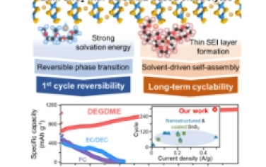 ACS Nano：SnS2 阳极中溶剂驱动的 储钠：原子模拟指导的可逆反应、固体电解质界面相和形态转变策略
