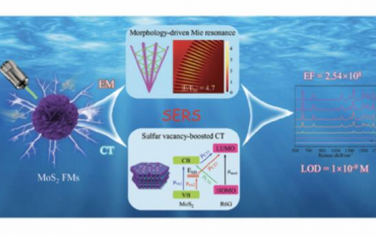 AFM：具有同步可调电磁和化学效应的富硫空位MoS2花状微球用于增强半导体SERS