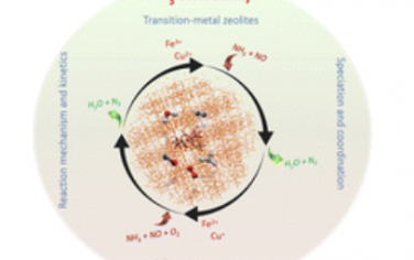 Chem. Soc. Rev.：过渡金属交换沸石中的脱氮机理