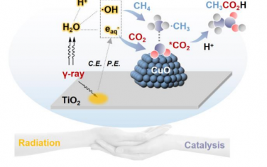 马丁Angew：辐照催化CH4和CO2合成CH3COOH