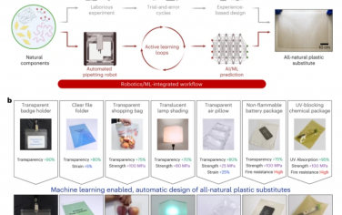 Nature Nanotechnology：机器智能加速全天然塑料替代品的发现