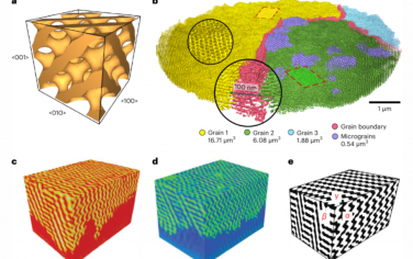 Nature Nanotechnology：纳米级单金刚石网络拓扑结构的高分辨率三维成像