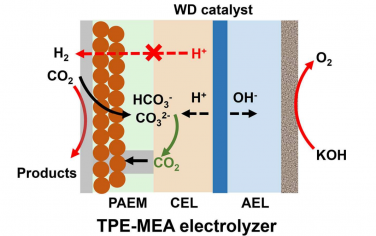 苏州大学Angew：三层聚合物膜促进碱性电催化CO2制备C2H4