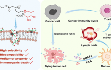 Nano Lett：聚锍可作为生物活性聚合物诱导免疫原性细胞死亡以用于抗癌治疗