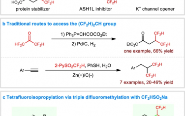 Nature Commun：使用CF2HSO2Na进行烯烃四氟异丙基化