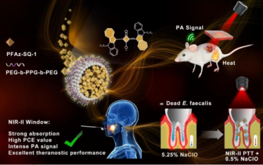 Angew：利用融合的Azulenyl方酸衍生物将激发态能量集中于非辐射衰变途径以改善NIR-II光学诊疗