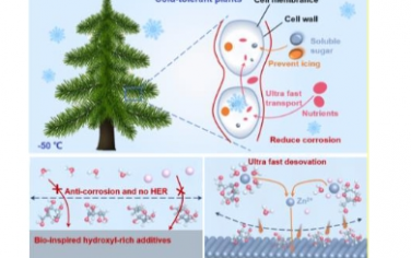 Angew：用于低温下高倍率和稳定锌离子电池的仿生微量富含羟基电解质添加剂