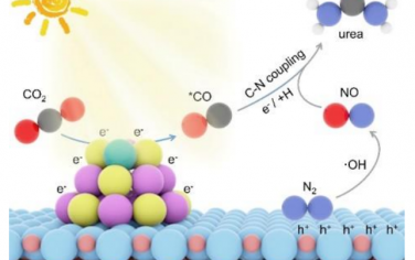 王定胜&郑旭升Angew：单原子Ni-CdS/WO3光催化合成尿素
