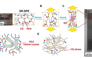 Science Advances：用于制造坚韧滑环固体聚合物电解质的应变诱导结晶和相分离